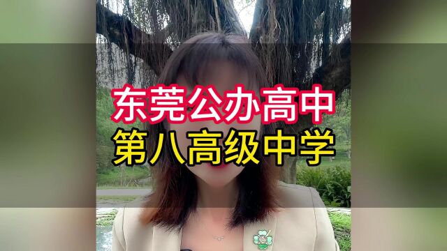 东莞市公办高中第八高级中学#东莞教育#东莞公办学校#怎么上学