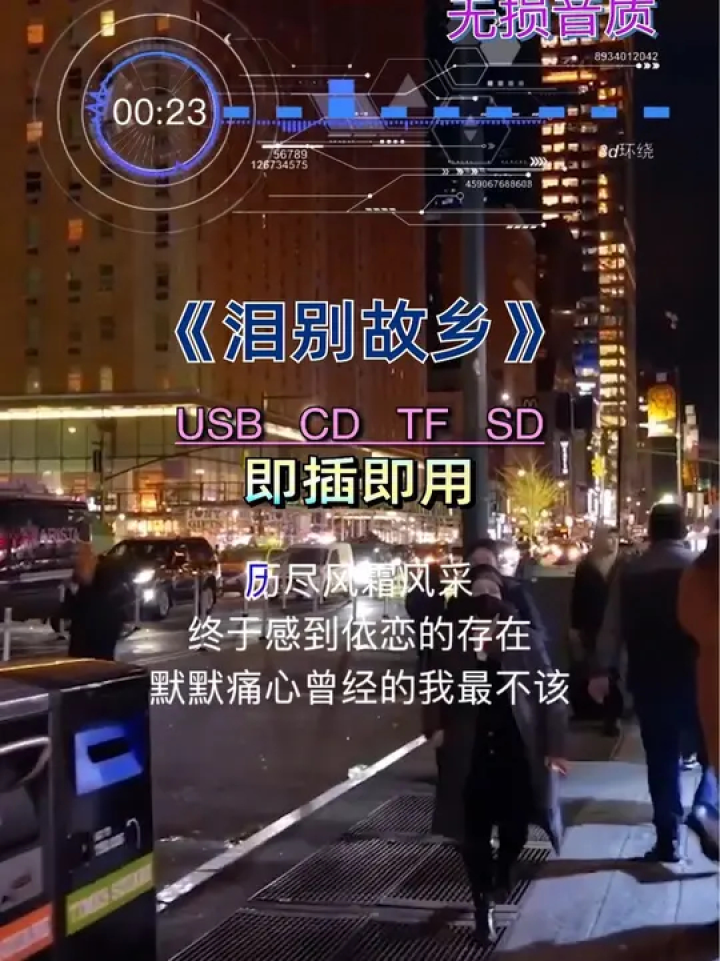 泪别故乡 无非为了那碎银几两,家乡容不下肉身,他乡容不下灵魂!