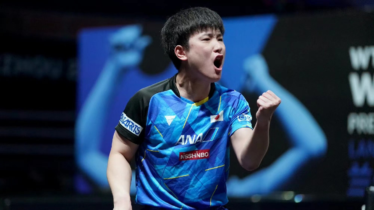 张本智和晋级8强!第三局逆转格罗特 疯狂嚎叫 握拳庆祝