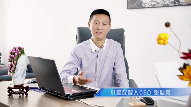 小星AI数智人CEO张世亮