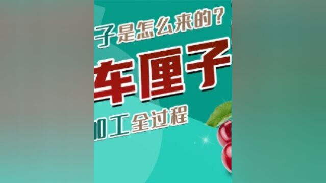 再贵也要买?你心心念念的智利车厘子,就是这么加工的