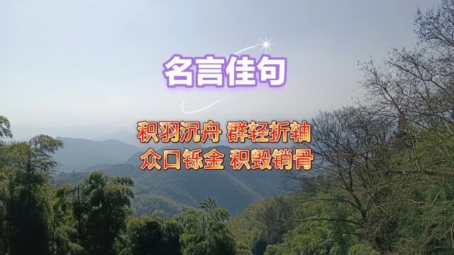 积羽沉舟 群轻折轴 众口铄金 积毁销骨