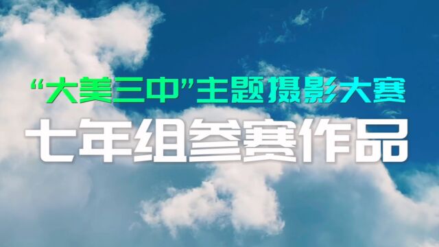 浑南三中“大美三中”摄影大赛作品七年组