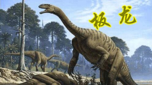 最早的素食恐龙，板龙