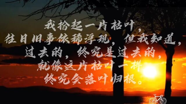 “你收藏了哪些除夕文案”