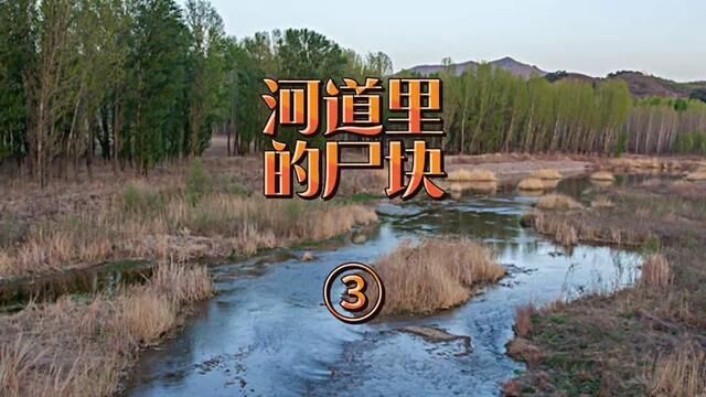 河道里的尸块③贵州省荔波县→2001年12月04号#大案要案纪实