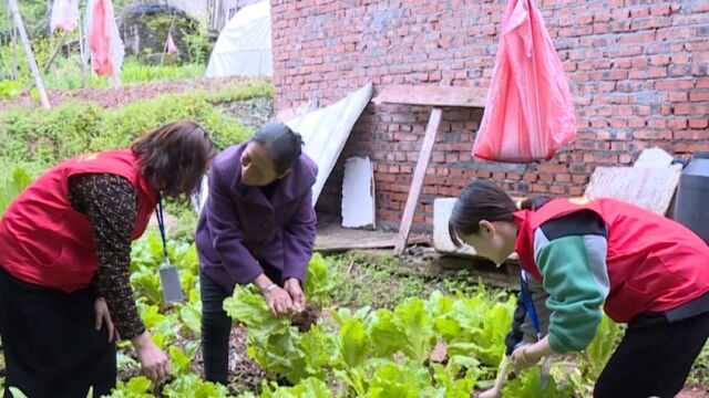 《今日赣鄱》栏目组走进吉安县民政局