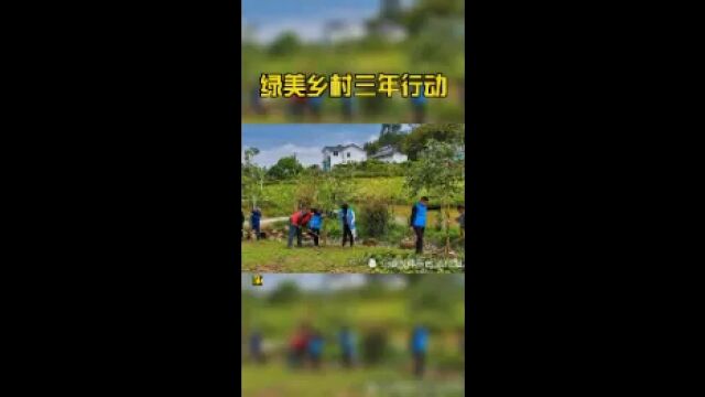 绿美乡村三年行动