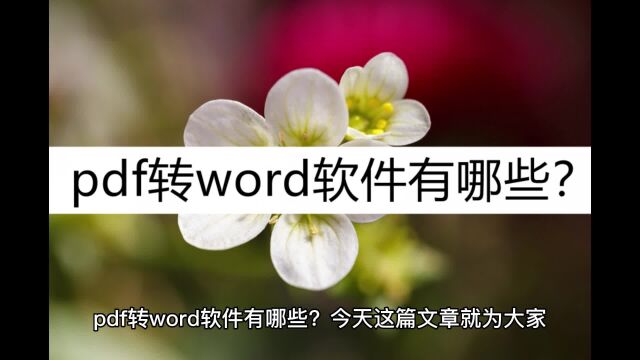 pdf转word软件有哪些?试试这几款