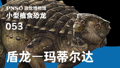 第14集南半球化石保存最完整的甲龙类恐龙——盾龙玛蒂尔达_高清1080P在线观看平台_腾讯视频