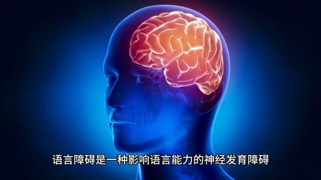 儿童语言障碍主要表现为哪些方面