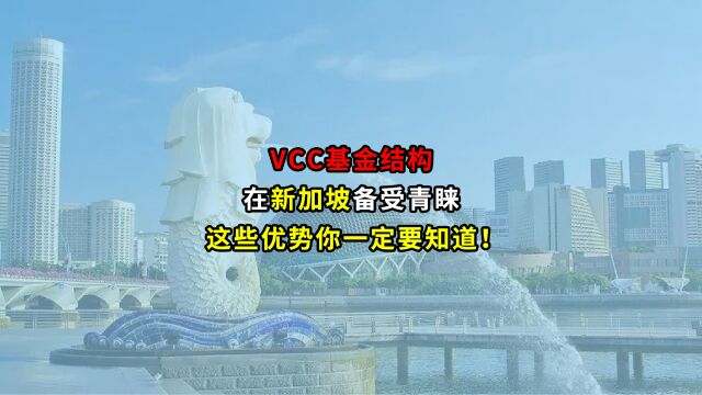 VCC基金结构在新加坡备受青睐,这些优势你一定要知道!