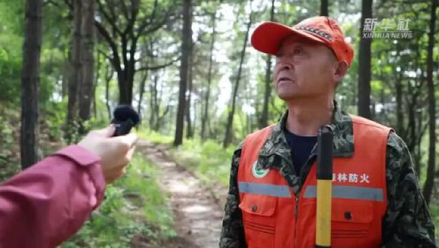 美丽中国行|护林员赵建平:一把铁锹,三十二年,守护千亩林海