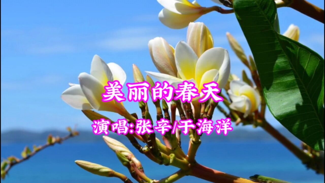 张辛/于海洋 演唱的歌曲《美丽的春天》,请欣赏