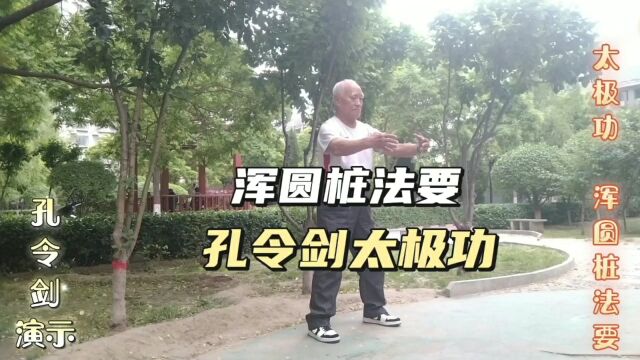 孔令剑太极功 浑圆桩功法要230523