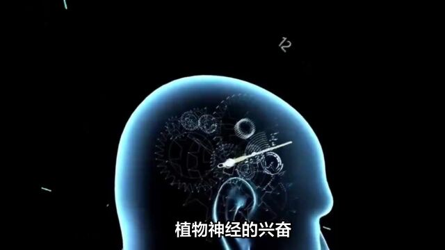 饮食睡眠规律是胃健康的重要保证