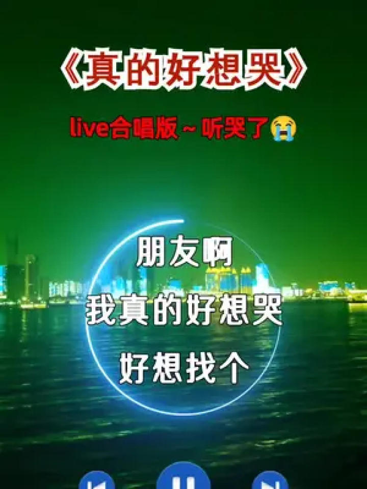 真的好想哭#说不出的心酸#说不出的或许都在歌里#伤感音乐