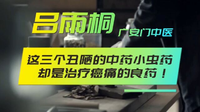 这三个丑陋的小虫药,却是治疗癌痛的良药!吕雨桐