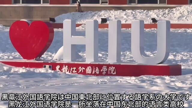 龙外日语微视频ⷥ†𐥟Ž龙外雪域风光