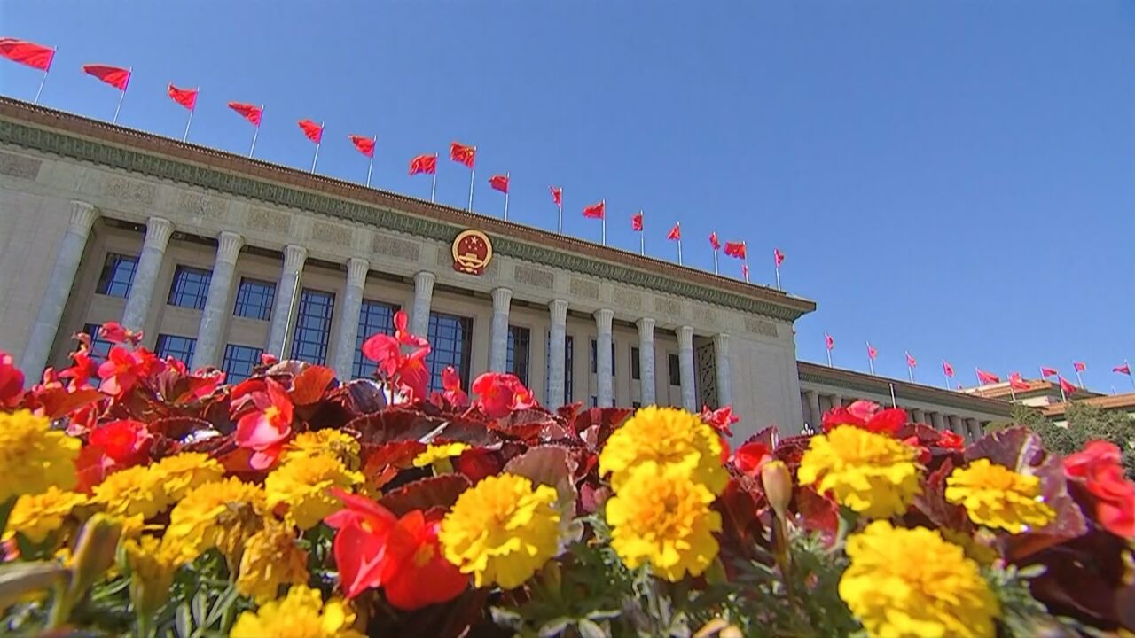 对外关系法有助中国更好担负大国责任 维护大国形象