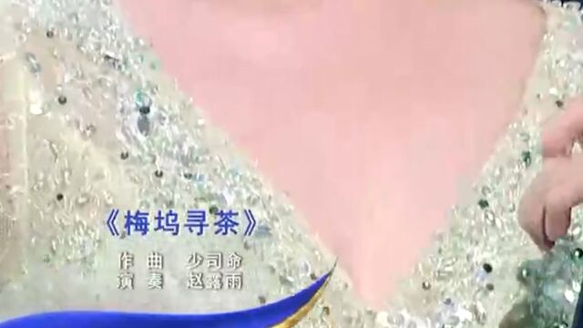 赵露雨演奏《梅坞寻茶》,曲调动听,仿佛闻到那淡淡的茶香