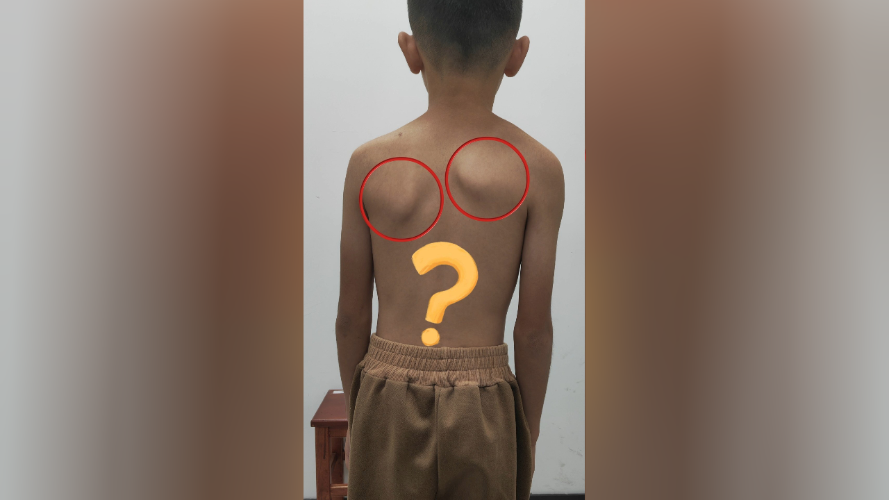 推荐视频