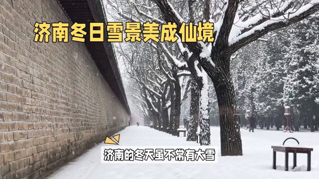 济南冬日雪景,令人陶醉的美丽画卷