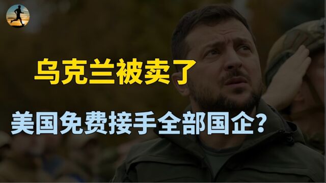 美国企业免费接手乌克兰全部国企,包括电网和能源?