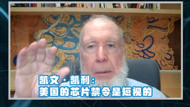 凯文ⷮŠ凯利:美国的芯片禁令是短视的