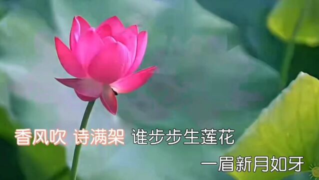 《步步生莲花》演唱 乌兰托娅 视频制作 张勇