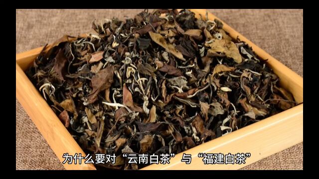 茶来藏团队选择市场售卖的12种不同鲜叶标准和花色的“云南大叶种白茶”与”政和白茶”为实验