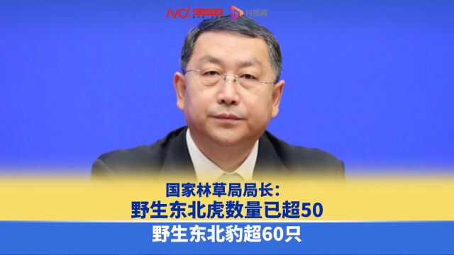 国家林草局局长:野生东北虎数量超50,野生东北豹超60只