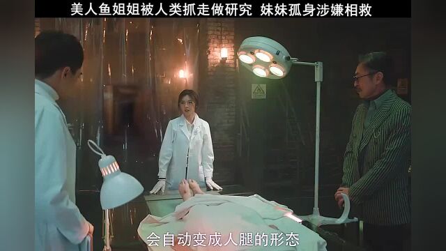 这绝对是美人鱼系列里最漂亮的美人鱼了