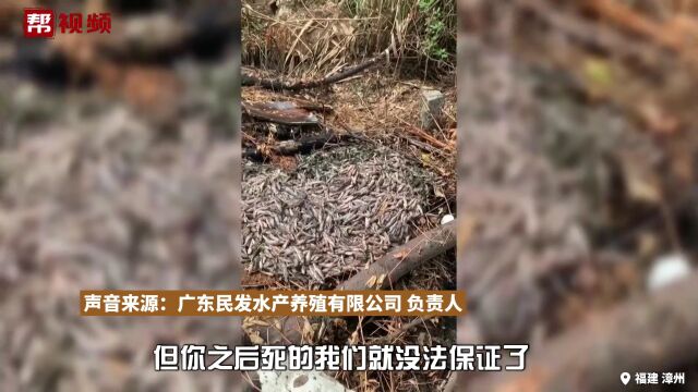 订购54万多尾鱼苗一周不到基本死亡 涉事公司曾因非法生产被罚