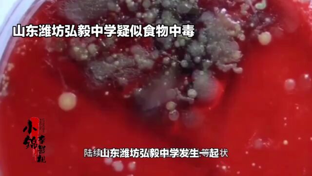 山东潍坊弘毅中学食品安全问题引发社会关注.