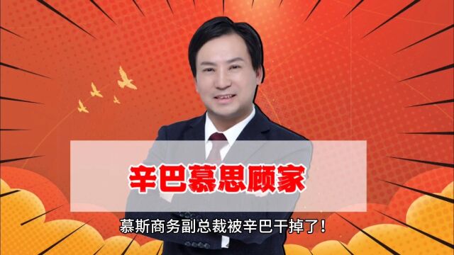 董哥:辛巴干掉慕思副总裁,实体品牌商靠内容链走好互联网下半场