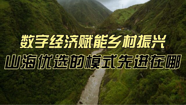 数字经济赋能乡村振兴,山海优选的模式先进在哪?