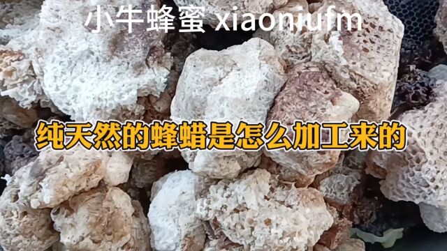 蜂蜡怎么加工熬制提炼做出来的视频蜂蜡的原材料是什么纯天然蜂蜡 #蜂蜡 #蜂胶 #蜂王浆 蜂皇浆蜂巢蜜蜂花粉蜂蜜关注小牛蜂蜜带你了解蜂知识