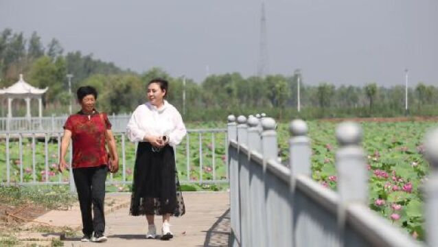 廊坊湿地好风光 尽显生态美