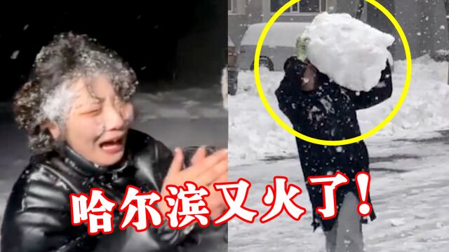 一场大雪让哈尔滨火上热搜,“打雪仗”专用bgm一响,适配度太高了