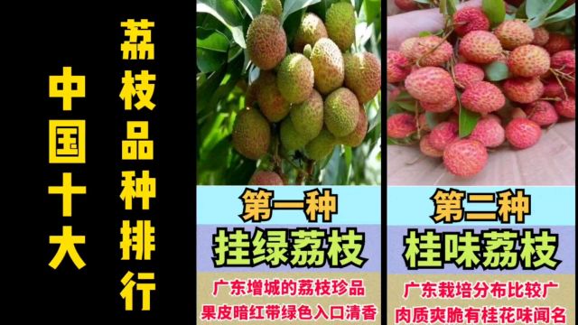 中国十大荔枝品种排行,看看你品尝过几种?