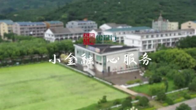 第六届金融业年度品牌案例大赛报送案例展杭州金投行网络小额贷款有限公司《普惠金融践行者》系列短片案例