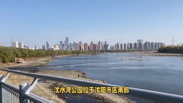 沈阳沈水湾公园儿