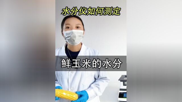 鲜玉米的水分如何测定