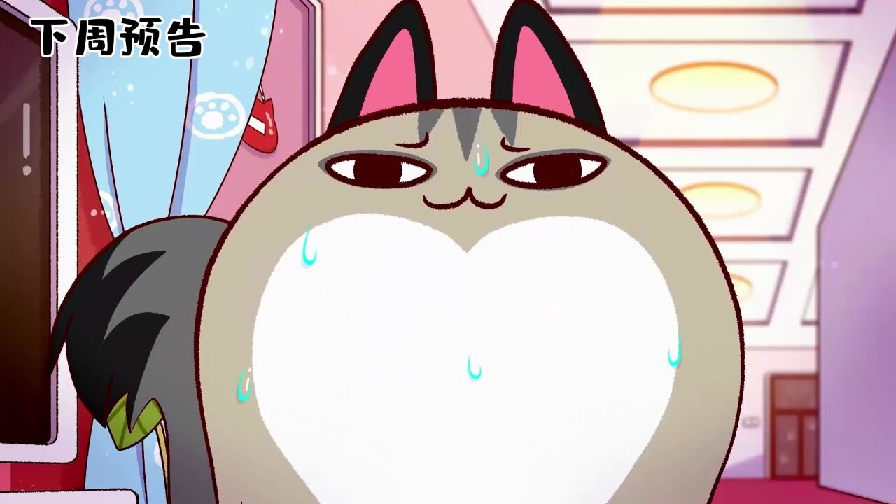 猫奴的双标准则!