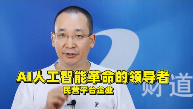 民营平台企业已经成为AI人工智能科技革命的领导者