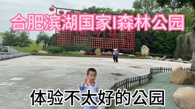 合肥滨湖国家森林公园