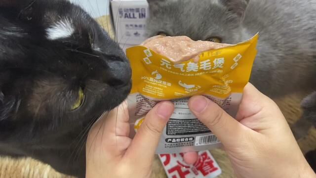 #猫饭 #薅羊毛 预算不多又想然后猫咪爱好一点的,快来薅这个羊毛,他们家现在做推广真的很划算