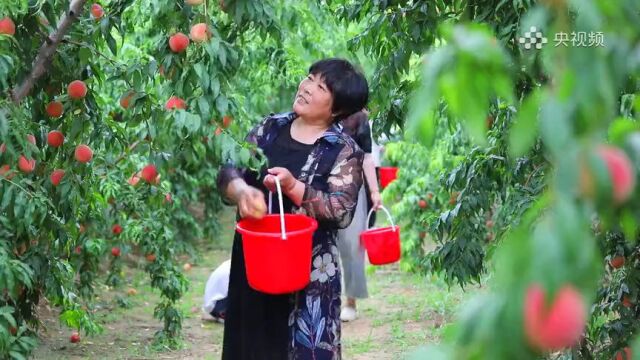 你早,河北|这是一次“顶格”大暴雨吗;石家庄怎样处置七年未竣工项目;中国外贸如何突破重围;百岁基辛格肩负哪些期待