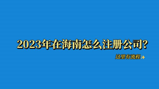 2023年在海南怎么注册公司?这里有流程